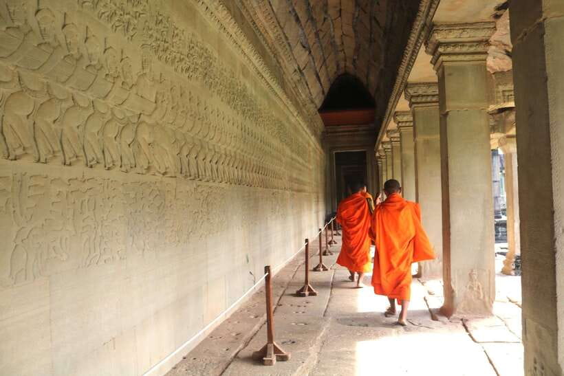 Angkor Wat: Highlights and Sunrise Guided Tour - Ta Prohm and the power of nature