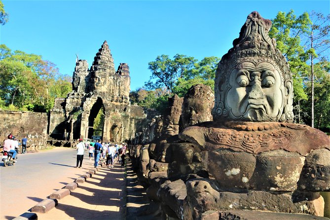 Angkor Wat Highlights and Sunrise Guided Tour from Siem Reap - Ta Prohm, where trees and ruins share the frame