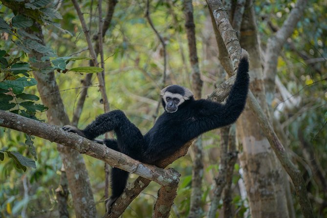 Angkor Wat Park Zip Line Adventure in Siem Reap - What I like most, and what may disappoint you
