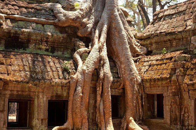 Angkor Wat Private Day Tour - Banteay Kdei for a quieter change of pace