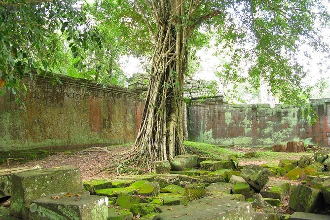 Angkor Wat Private Tour with English Speaking Driver, NO guide - Ta Prohm is dramatic, but confirm the timing