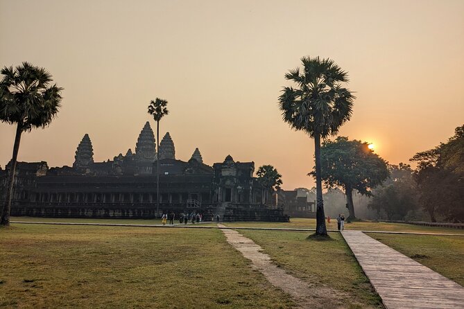 Angkor Wat Private Tuk-Tuk Tour (sunrise Option) & more - Ta Prohm and the trees that took over
