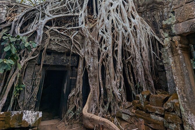 Angkor Wat Private Tuk-Tuk Tour (sunrise Option) & more - Banteay Kdei, and one itinerary detail to check