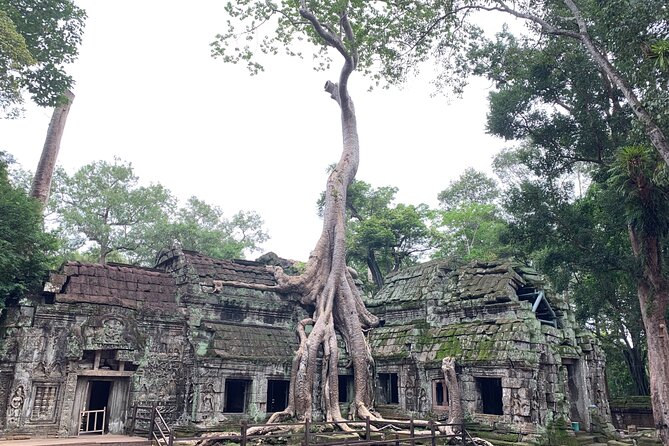 Angkor Wat Small Circuit & Sunset Tour - Who will get the most from this day