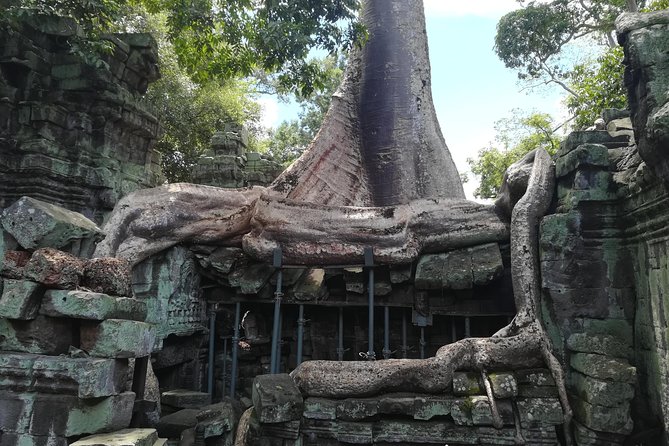 Angkor Wat Small Circuit Tour - Guide quality and the human side of the day