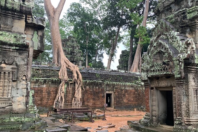 Angkor Wat Small Circuit Tour - Clothing, timing, and practical preparation