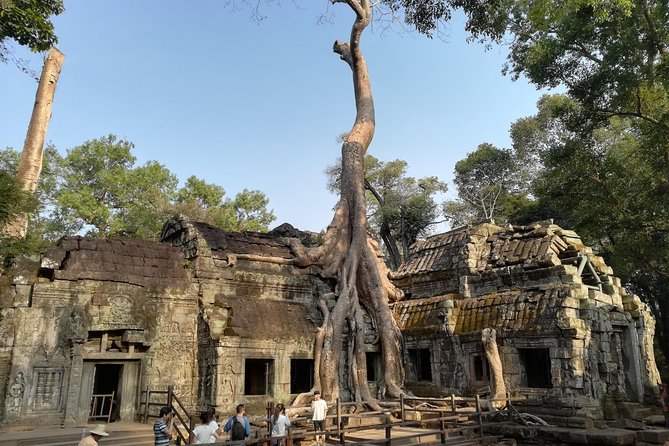 Angkor Wat Small Circuit Tour - Angkor Wat: three hours with Cambodia’s great symbol