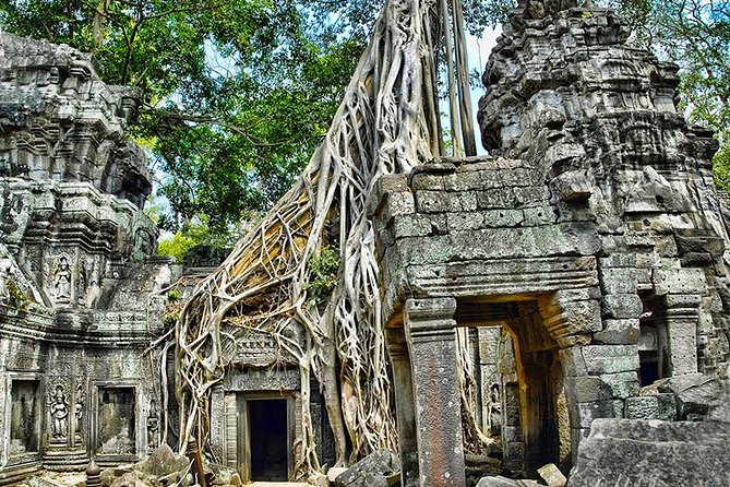 Angkor Wat Small-Group Exploration with Expert Guide - Tuk-tuk comfort, minivan space, and the value of hotel pickup