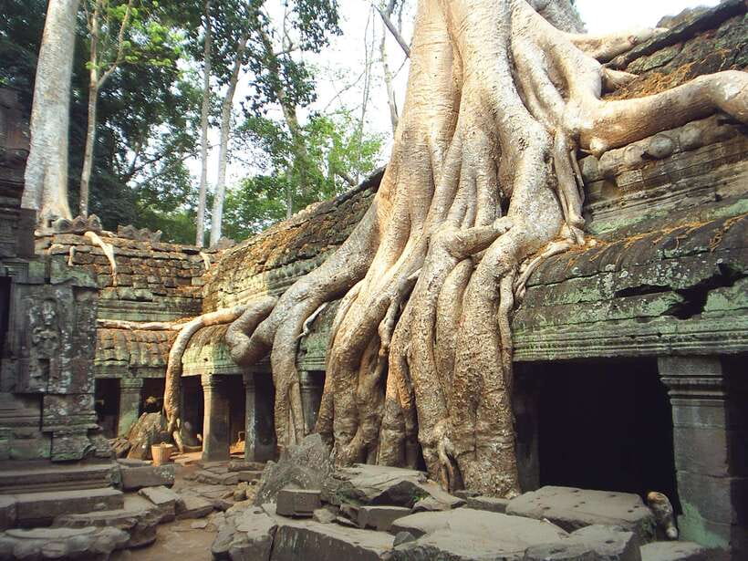 Angkor Wat: Small-Group Tour with Balloon Ride and Lunch - Angkor Wat first, when your eyes are fresh