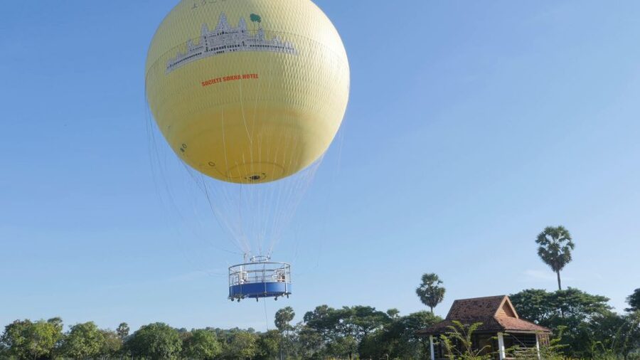 Angkor Wat: Small-Group Tour with Balloon Ride and Lunch - Ta Prohm and the trees that took over