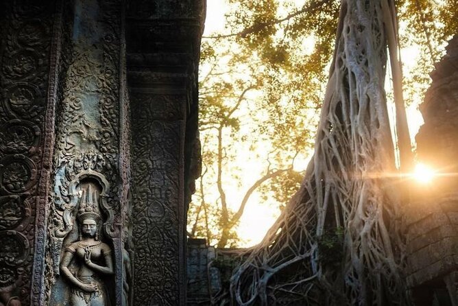 Angkor Wat Sunrise & 3 Main Temples with Breakfast – Small Group - Ta Prohm, ruins shaped by nature