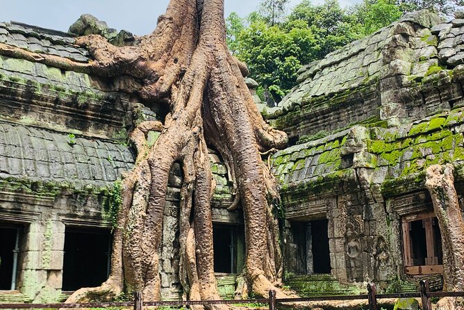 Angkor Wat Sunrise and Angkor Thom Sunset Tour - Returning to your hotel at midday