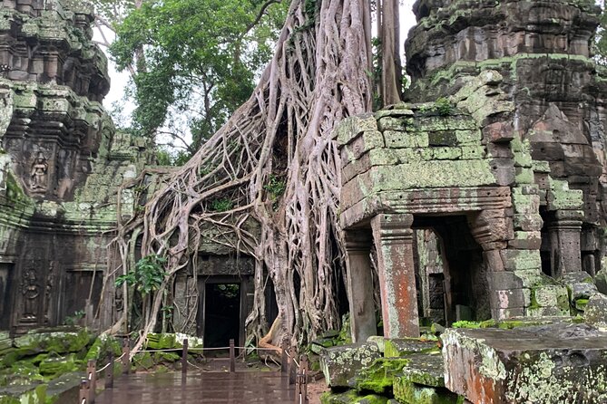 Angkor Wat Sunrise and Angkor Thom Sunset Tour - Angkor Thom in the afternoon
