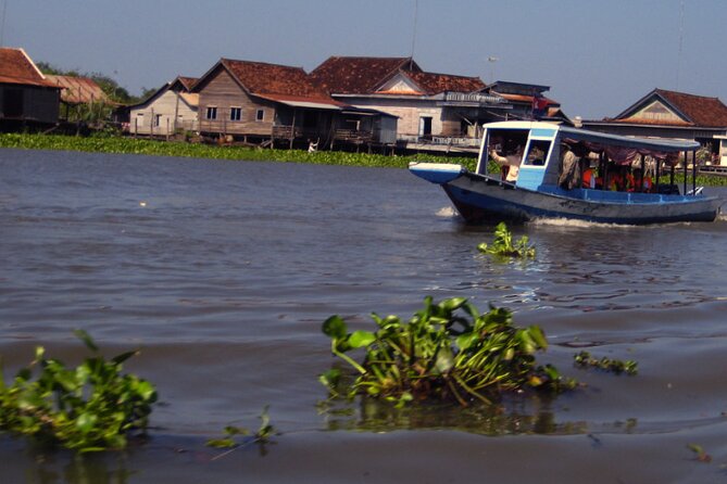 Angkor Wat Sunrise and Tonle Sap Cruise Sunset Tour - Ta Prohm, where the jungle takes over