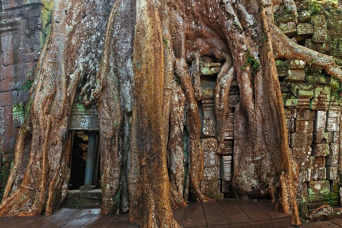 Angkor Wat Sunrise or Sunset Tour with Guide from Siem Reap - Ta Prohm and the famous tree roots