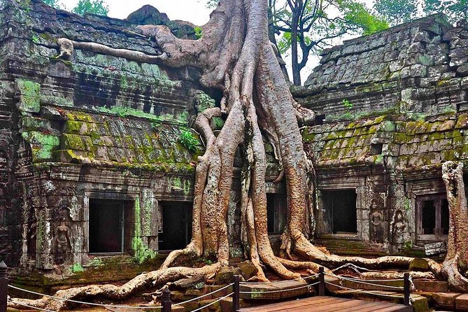 Angkor Wat: Sunrise or Sunset Tours with Tuk Tuk - Why a private tuk tuk works well at Angkor