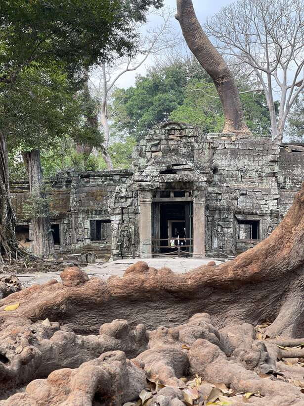 Angkor Wat Sunrise Private Full Day Tour - The Terrace of the Leper King and Baphuon