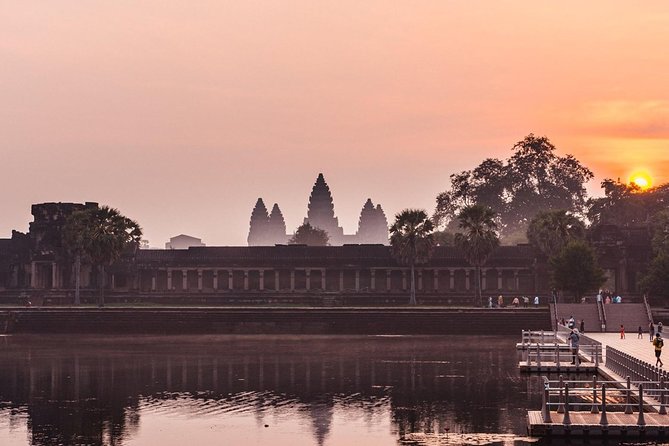 Angkor Wat Sunrise Private Tour by Tuk Tuk - Ta Prohm, trees, and temple ruins