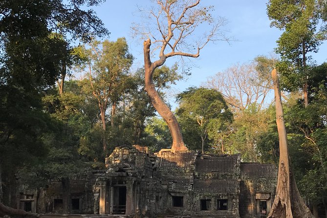 Angkor Wat Sunrise Private Tour by Vintage Jeep - Angkor Wat at sunrise, from 4:40 am onward