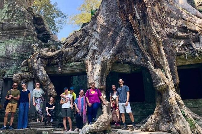 Angkor Wat Sunset Small Group Tour with Lunch Included - Ta Prohm, where trees take over the ruins