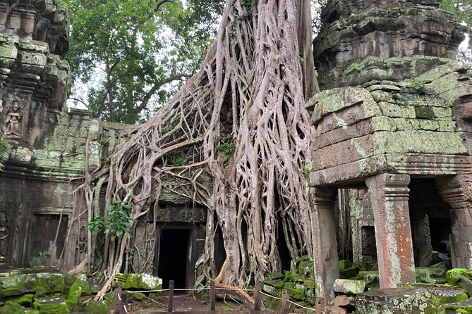 Angkor Wat Sunset TUK TUK Tour - The South Gate and the choice of sunset site