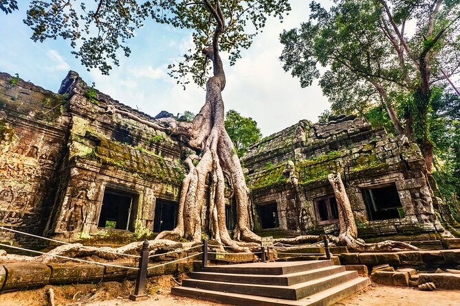 Angkor Wat, Ta Promh, Banteay Srei, Bayon temples Private Tour - Starting at Angkor Wat for two hours