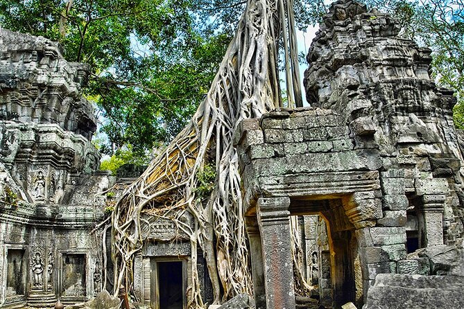 Angkor Wat Temples & Kulen Elephant Forest Day Tour - Is $259 a fair price?