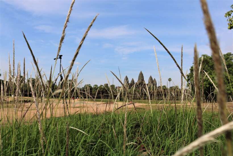 Angkor Wat: Tuk Tuk and Walking Tour - What the $49 price really covers
