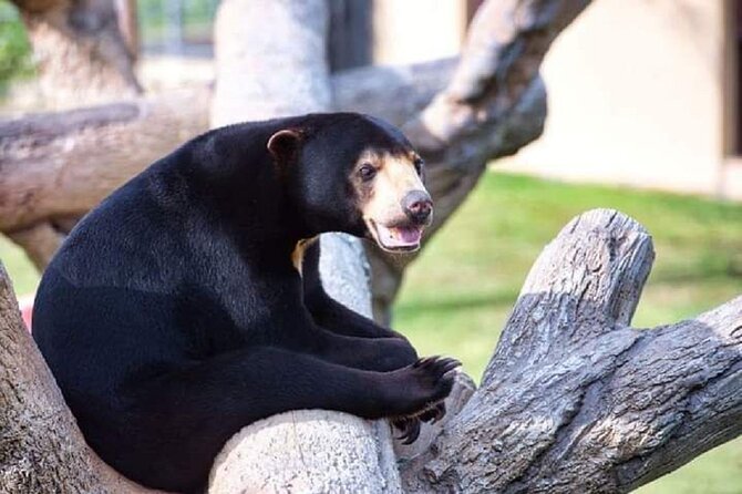 Angkor Wildlife & Aquarium Halfday tour - Why this half-day visit is different in Siem Reap