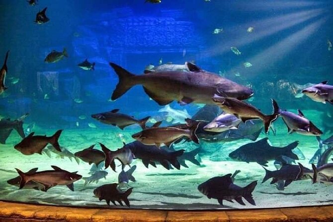 Angkor Wildlife & Aquarium Halfday tour - Why the private format matters