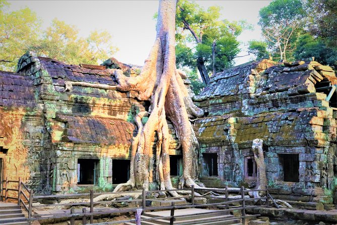 Angkor World Heritage with Sunrise - Small Group - Bayon’s carved faces