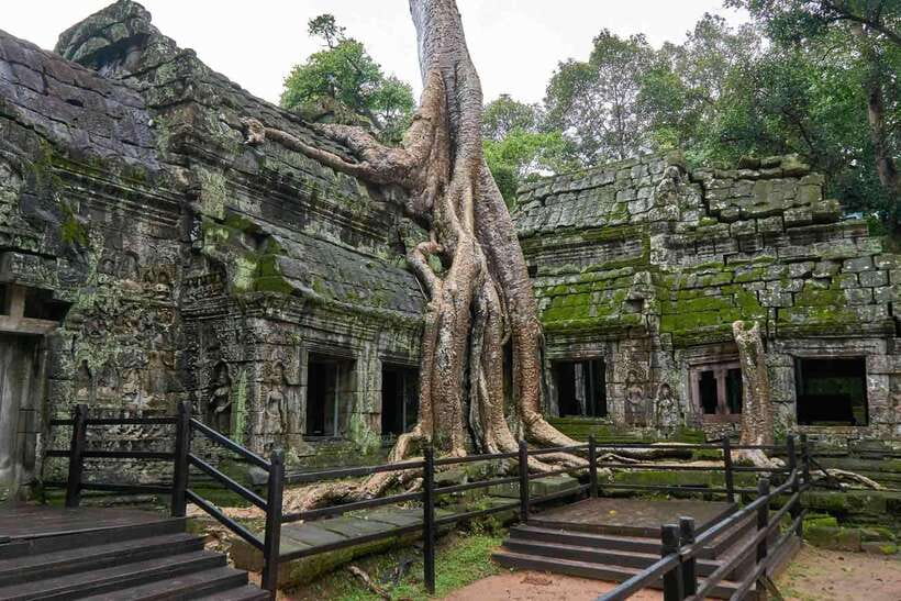 Angkor Zipline and Temple Tour with Sunset - Key points at a glance