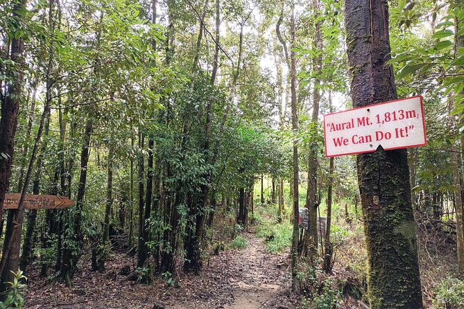 Aural Mountain Trek: Cambodia Tallest Peak Challenge - The second camp beneath the trees