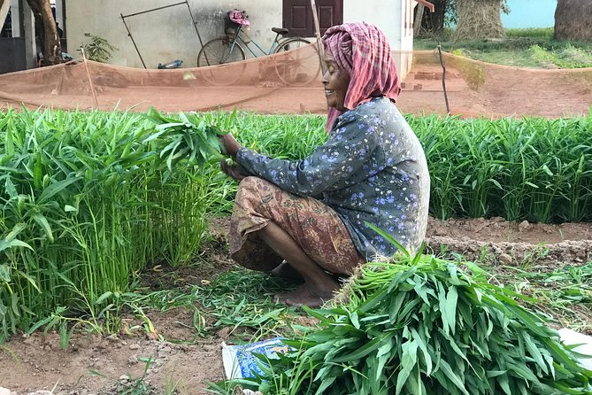 Authentic Cambodian Countryside Jeep Experience - A short stop at a village market