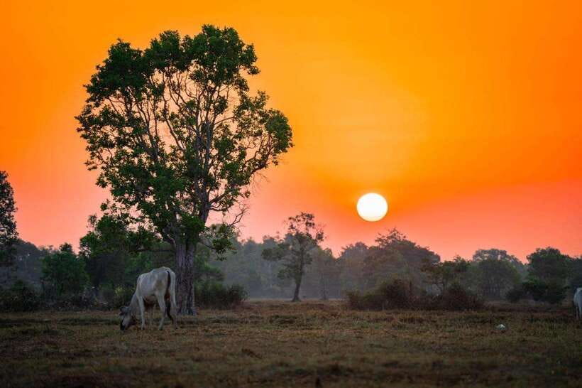 Authentic Siem Reap: Tuk Tuk Countryside and Sunset Tour - Why this countryside trip adds something to Siem Reap