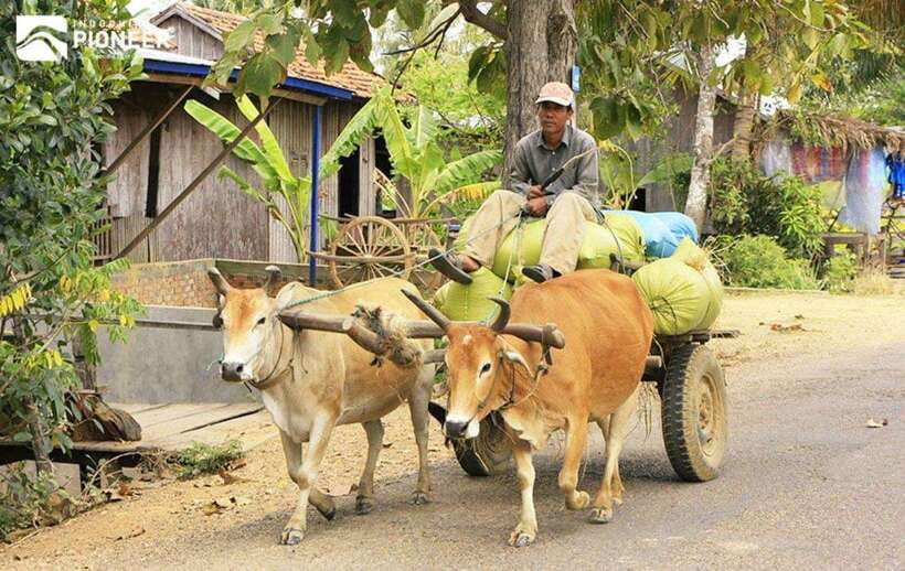Back to Basics: Siem Reap Village Tour in Cambodia - Small choices that improve the day