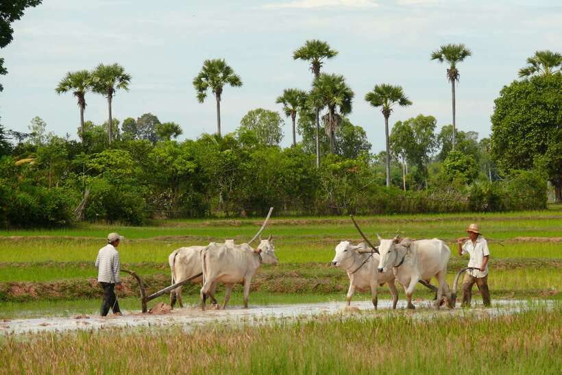 Back to Basics: Siem Reap Village Tour in Cambodia - Meeting families at work