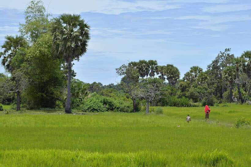 Back to Basics: Village Life Tour from Siem Reap - Key points at a glance
