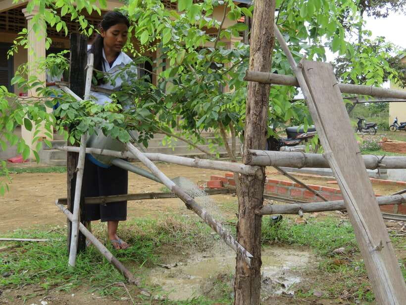 Back to Basics: Village Life Tour from Siem Reap - Markets, crafts, and the work behind daily life