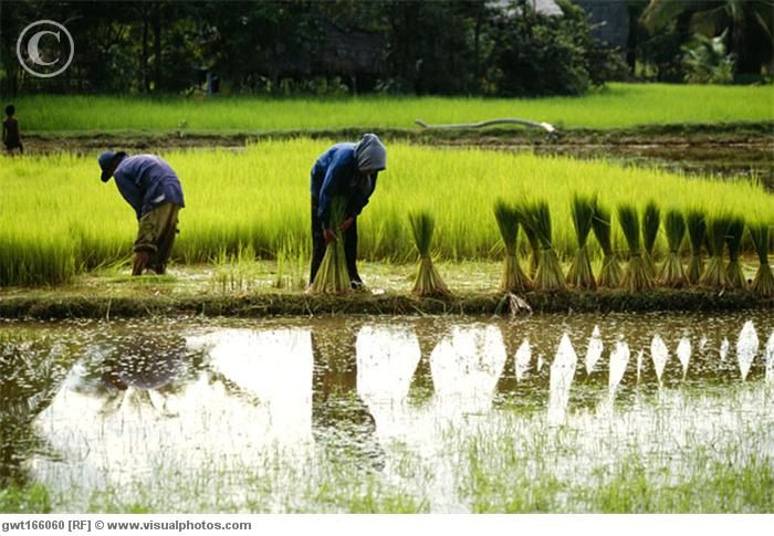 Back to Basics: Village Life Tour from Siem Reap - What the $68 price really includes