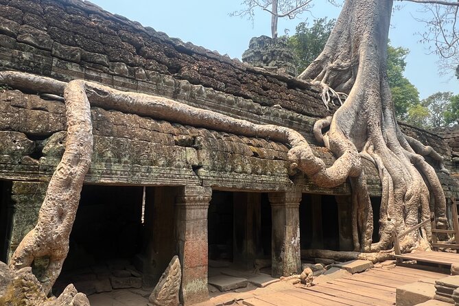 Bangkok to Angkor Wat 2 Days 1 Night by Flight - Kompong Phluk and the afternoon light on Tonle Sap