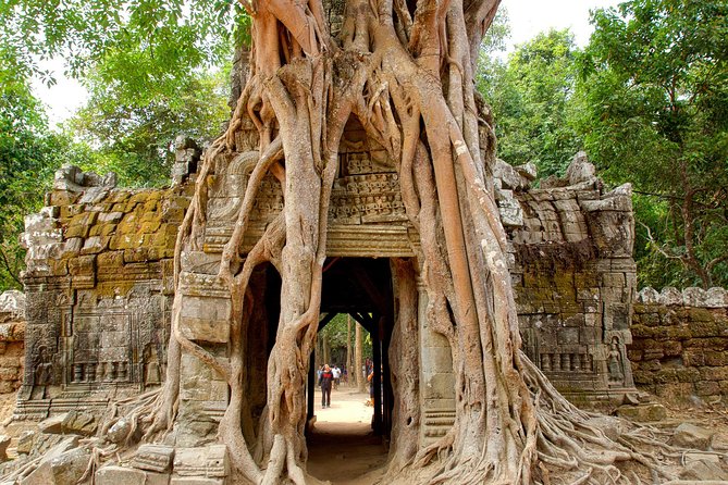Banteay Srei & Angkor Big Circuit Tour - Why Banteay Srei is worth the long morning