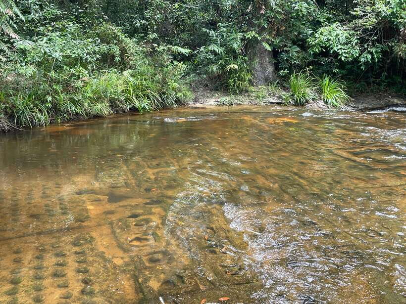 Banteay Srei, Kulen Waterfall & Beng Mealea Small-Group Tour - The River of 1000 Lingas