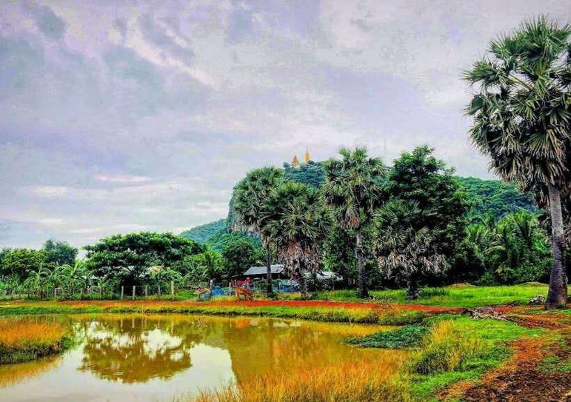 Battambang: Bamboo Train, Bat Cave, Killing Cave by Tuk Tuk - Cost, comfort, and practical value