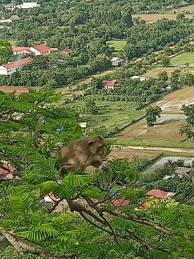 Battambang Full Day Tour from Siem Reap - Climbing the 365 steps at Wat Banan