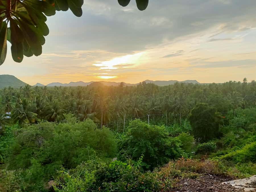 Battambang Full Day Tour from Siem Reap - The guides make the private format useful