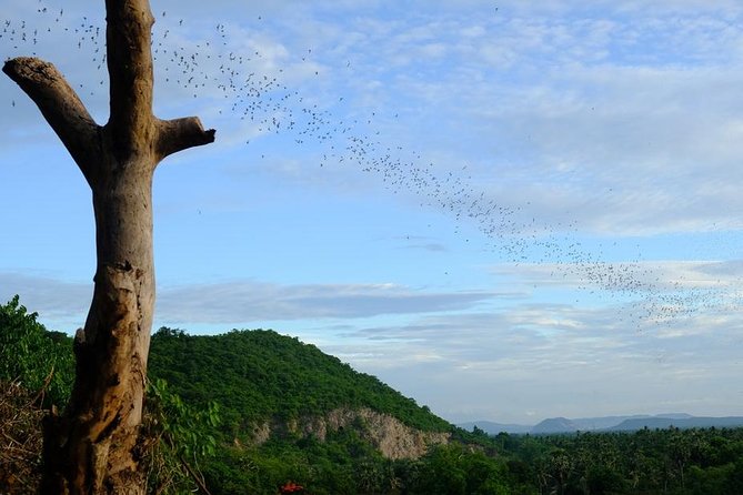Battambang Full Day Tour from Siem Reap - Bamboo Train, Killing Cave & Sunset - Phnom Sampeau’s bat flight at sunset