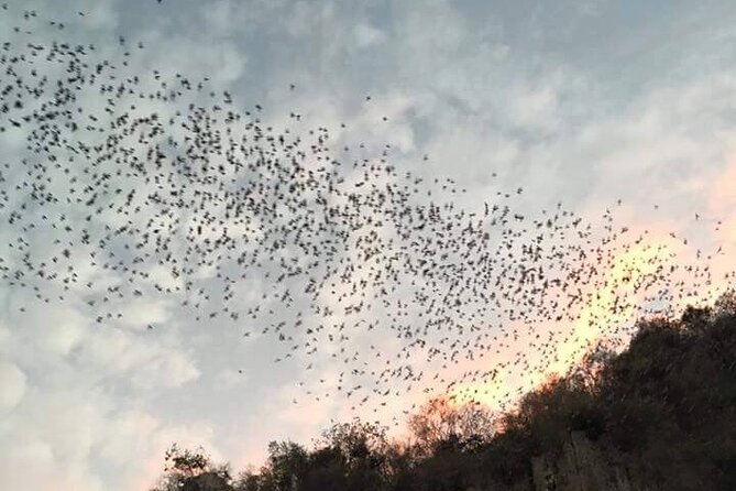 Battambang Private afternoon tour bamboo train bat cave & village - Key points before you book