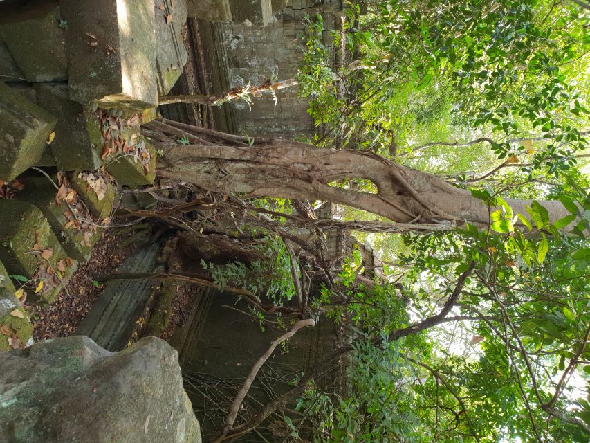 Beng Mealea, Koh Ker & Floating village Day Tour - Should you book Beng Mealea, Koh Ker, and Kompong Khleang?