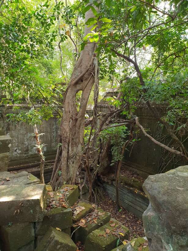 Beng Mealea, Koh Ker & Floating village Day Tour - Kompong Khleang: life shaped by the lake